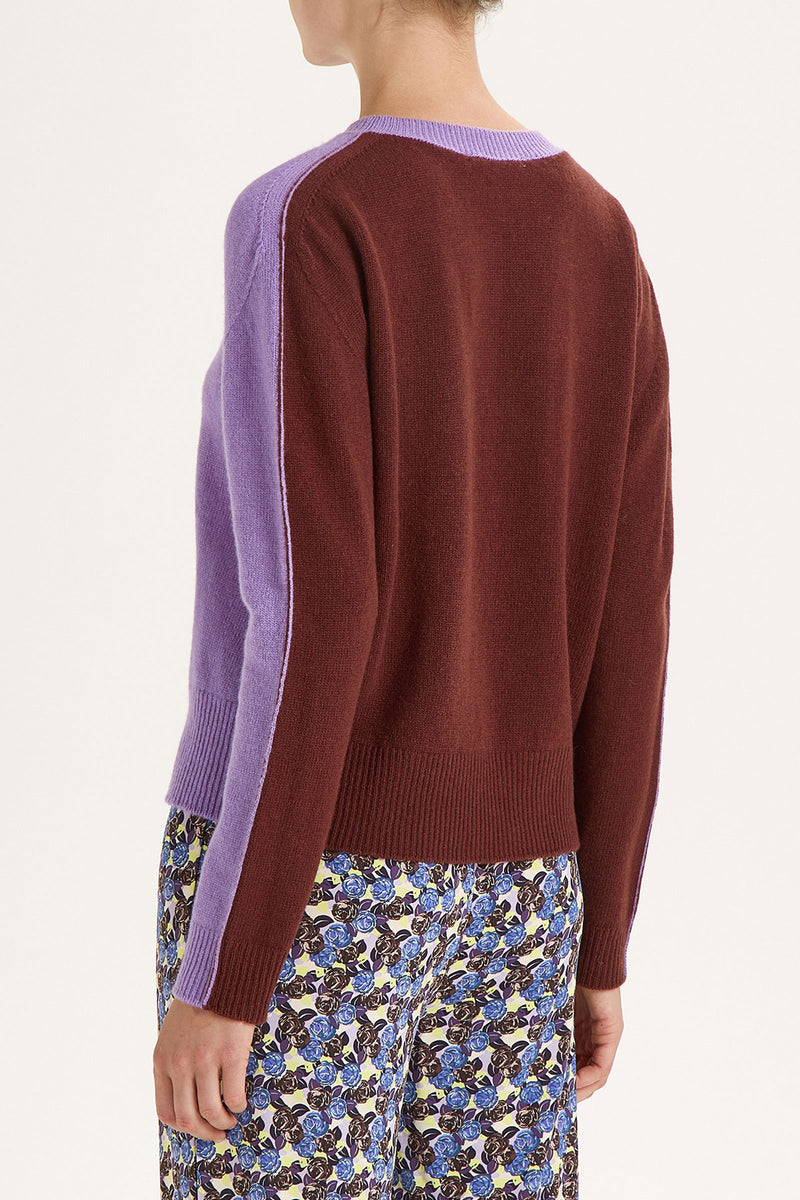 Maliparmi Cashmere Wool Sweater Purple and Brown