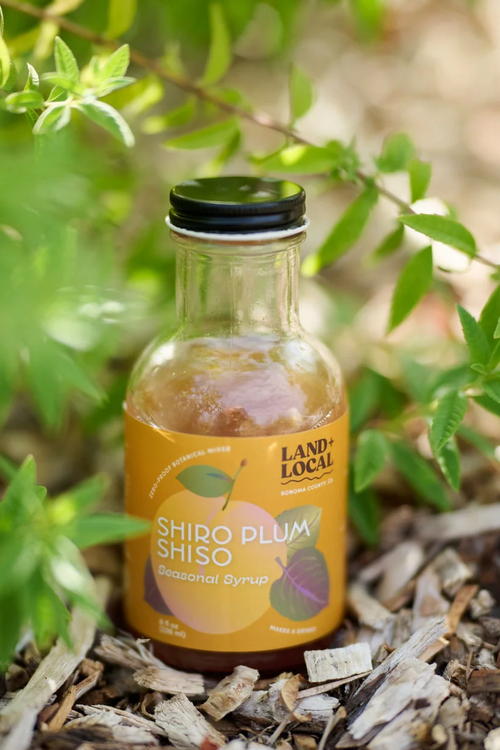 Shiro Plum Shiso Syrup